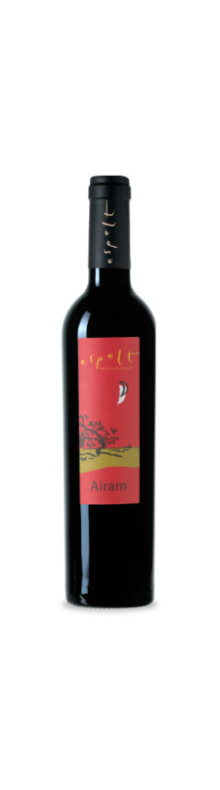 Airam 