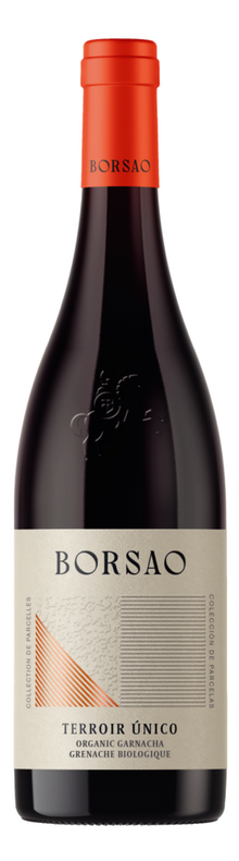 Terroir &Uacute;nico 2023