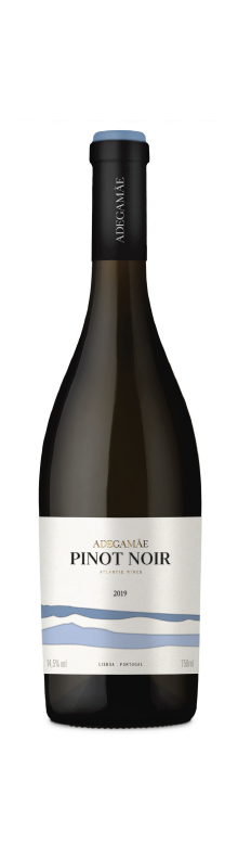  Pinot Noir 2019