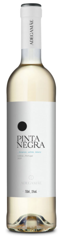Pinta Negra Branco 2020